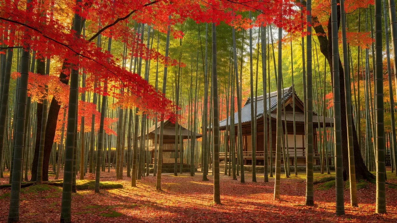 紅葉